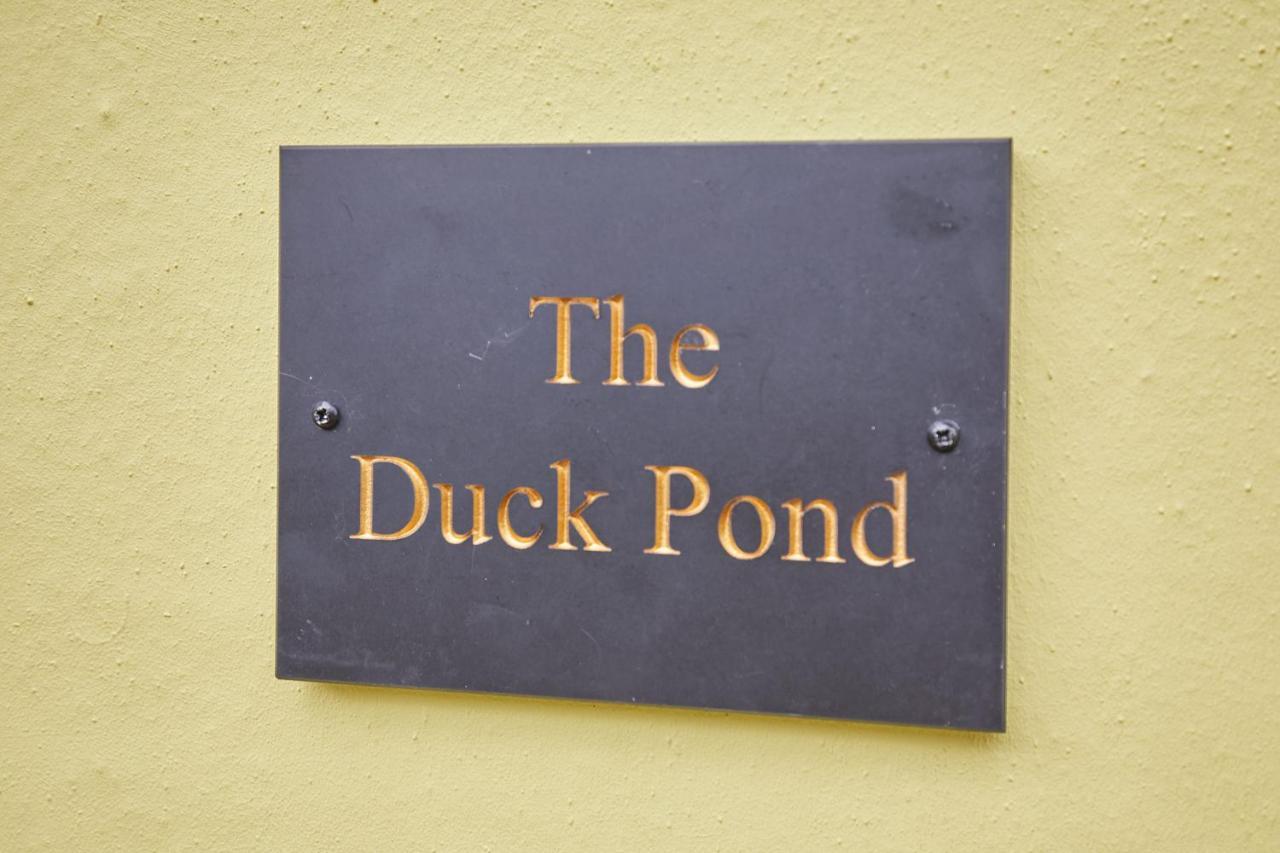 Host & Stay - The Duck Pond Durham Exteriér fotografie